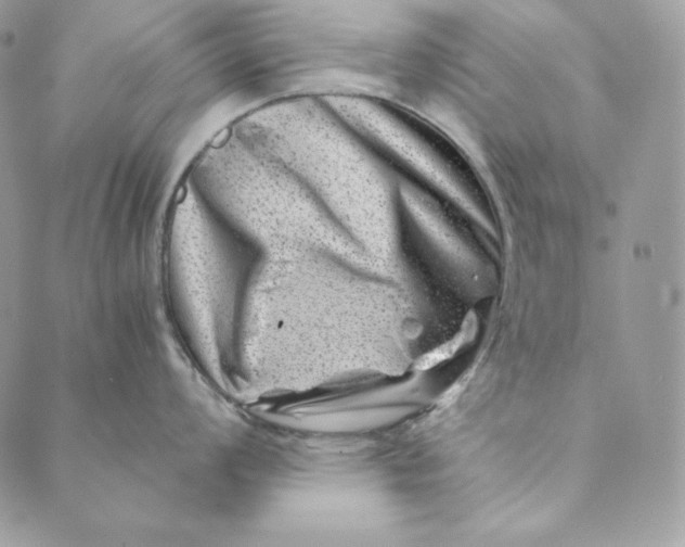 X0000088891008200706291435