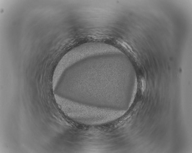 X0000088891009200706291434