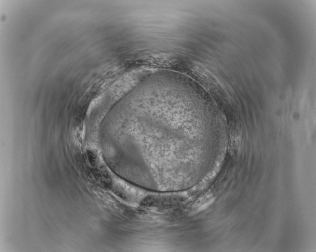 X0000088891010200706291434