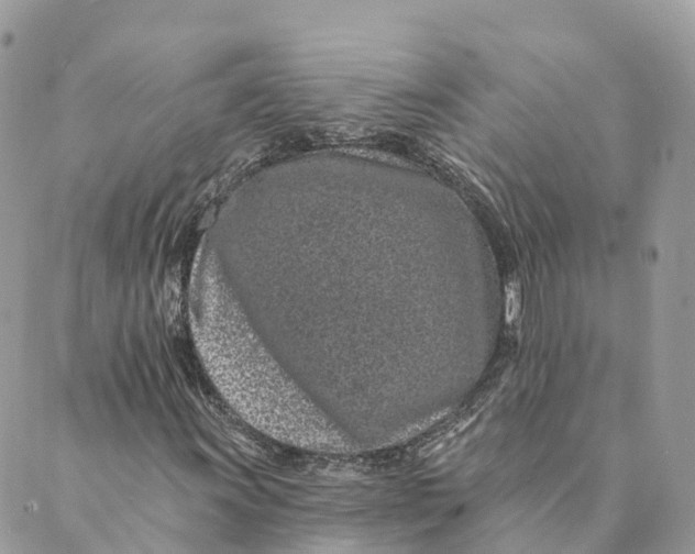 X0000088891011200706291434