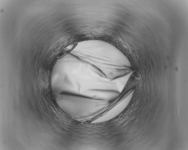 X0000088891012200706291434