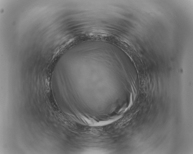 X0000088891013200706291434