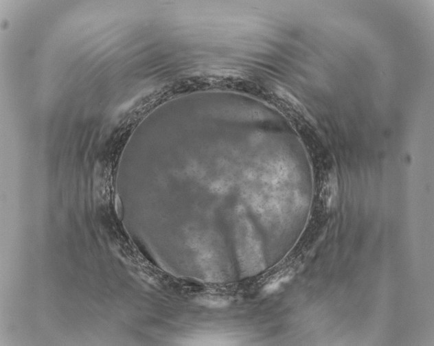 X0000088891014200706291434