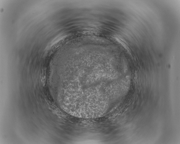 X0000088891015200706291434