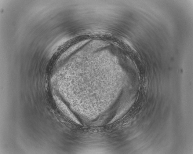 X0000088891016200706291434