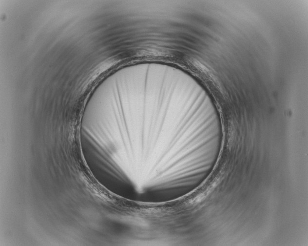 X0000088891017200706291434