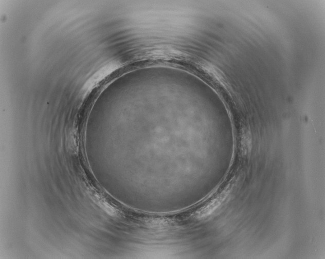 X0000088891018200706291434