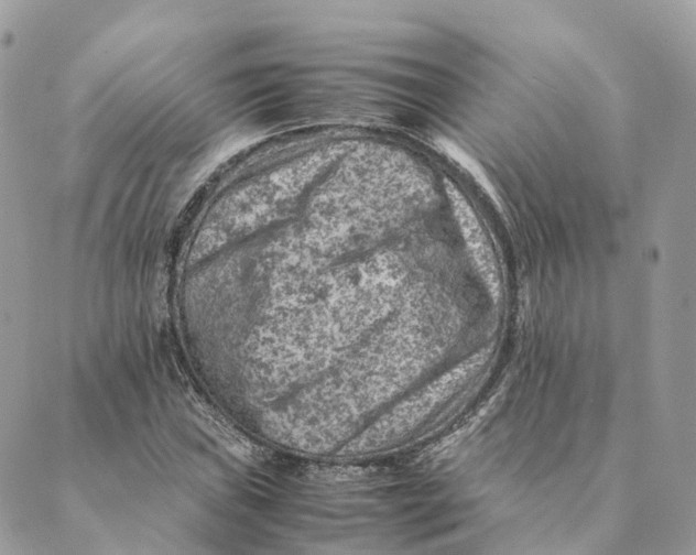 X0000088891019200706291434