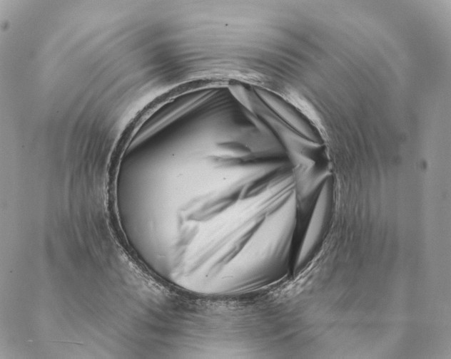 X0000088891020200706291434