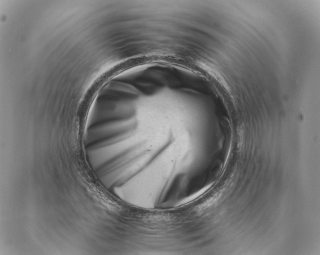 X0000088891021200706291434