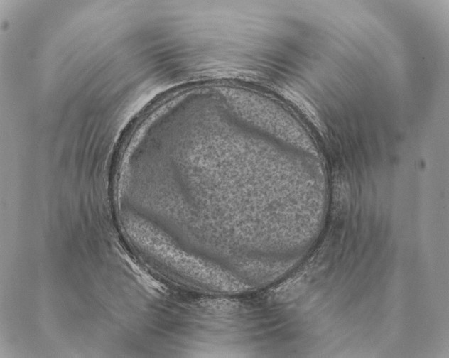 X0000088891023200706291434