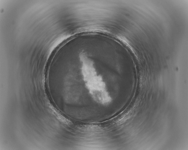 X0000088891024200706291434