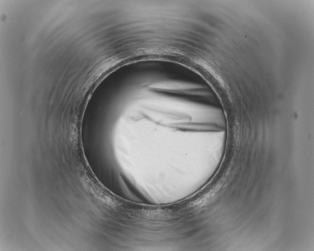 X0000088891025200706291434