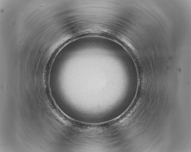 X0000088891026200706291434