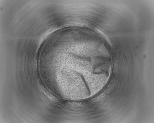 X0000088891027200706291434