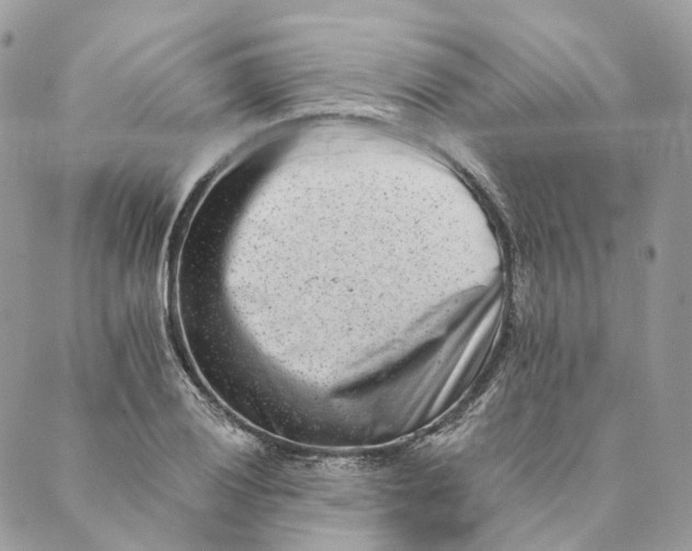 X0000088891028200706291434