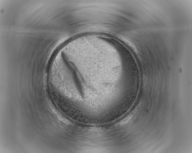 X0000088891029200706291434