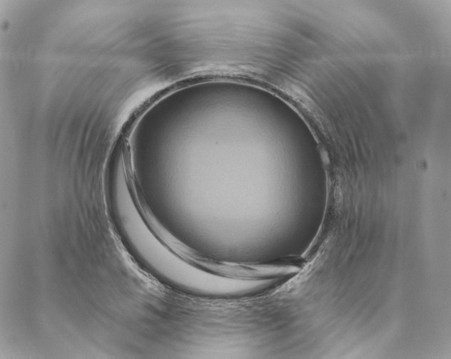 X0000088891030200706291434