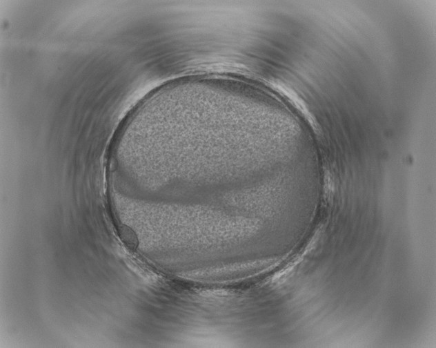 X0000088891031200706291434