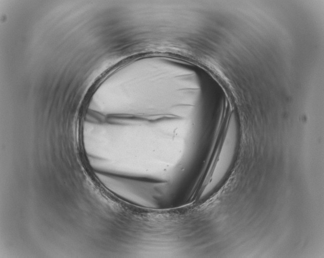 X0000088891032200706291435