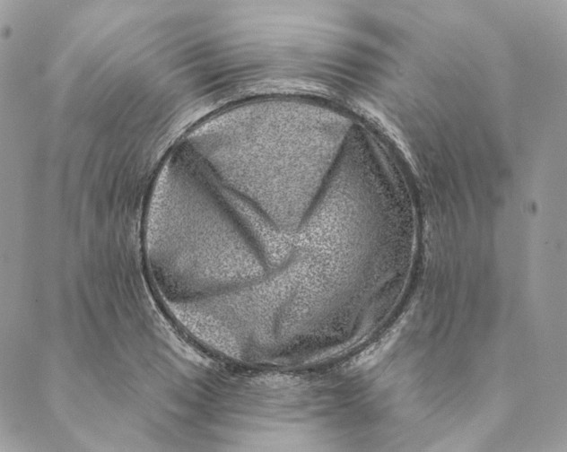 X0000088891033200706291435