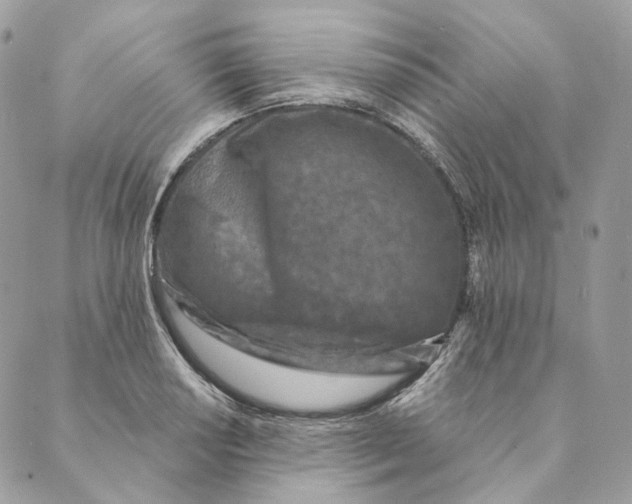 X0000088891034200706291435