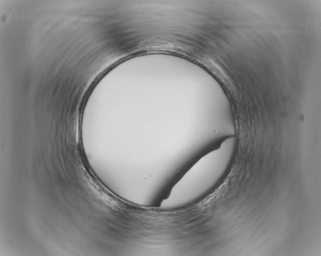 X0000088891036200706291435