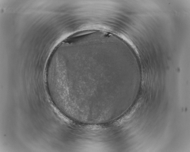 X0000088891037200706291435