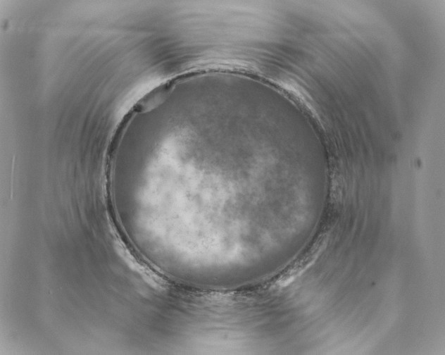 X0000088891038200706291435