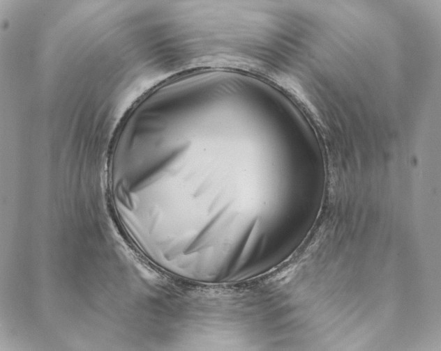 X0000088891040200706291435