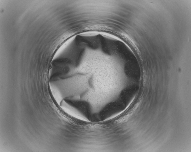 X0000088891041200706291435