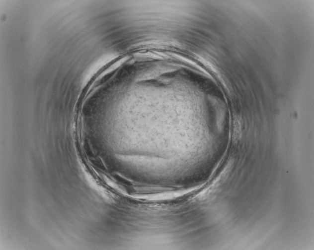 X0000088891042200706291435