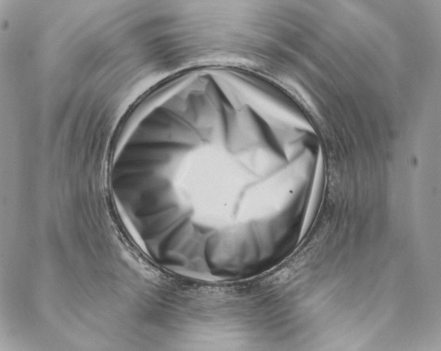 X0000088891044200706291435