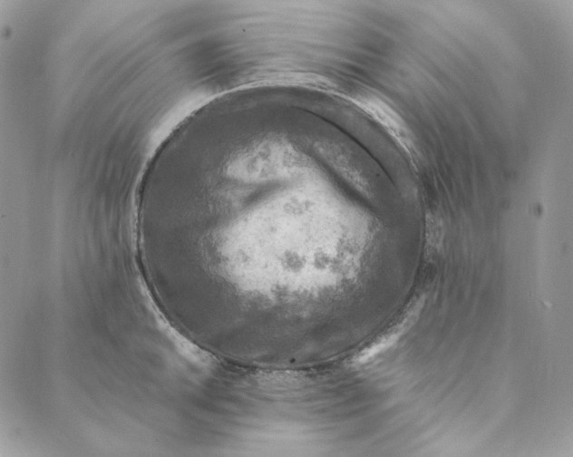 X0000088891046200706291435