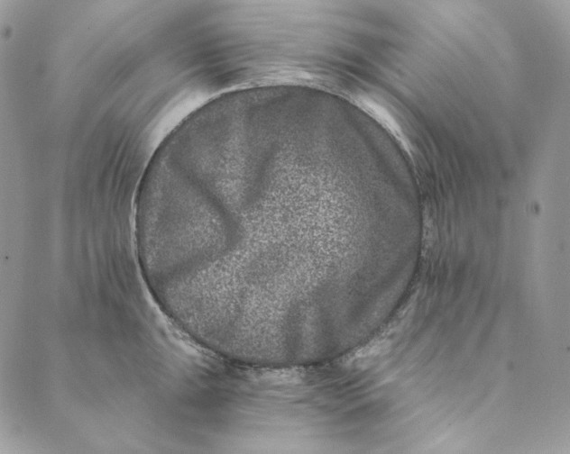 X0000088891047200706291435