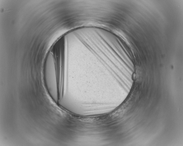 X0000088891048200706291435