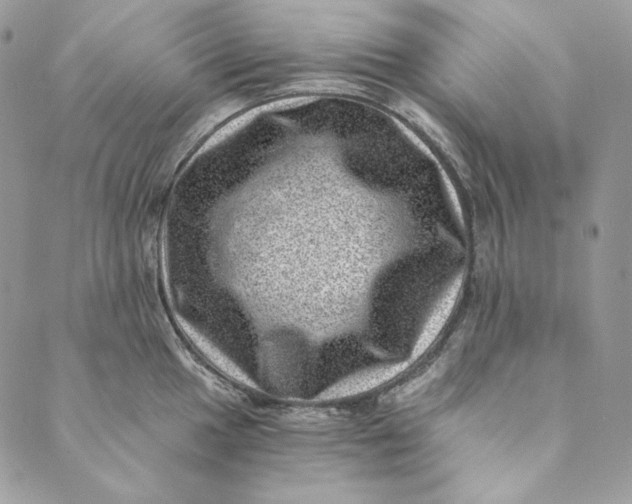 X0000088891049200706291435