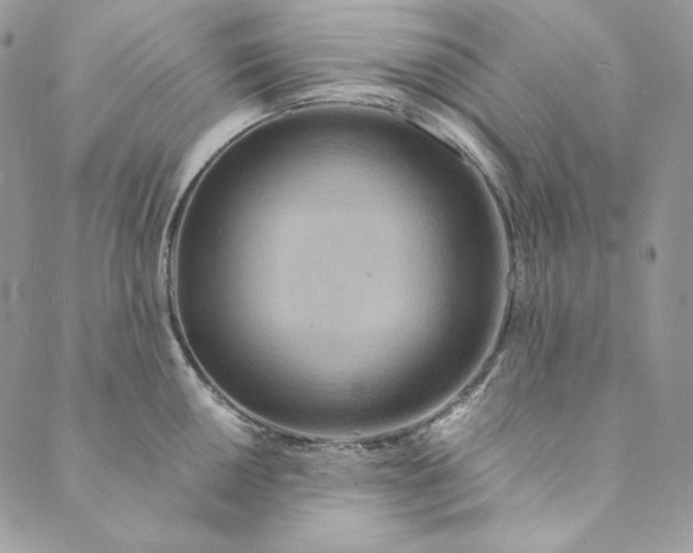 X0000088891050200706291435