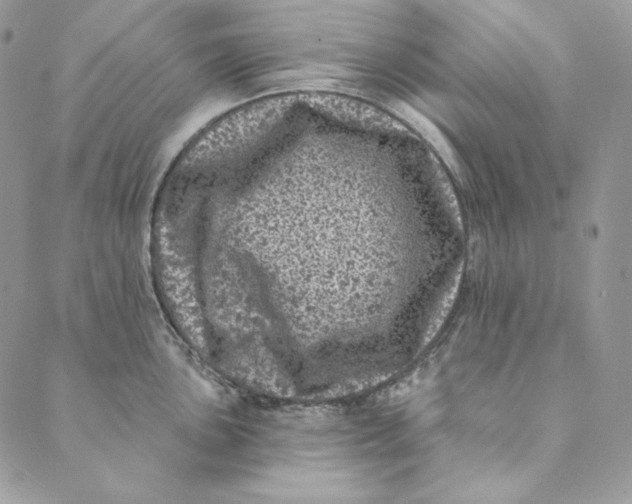 X0000088891051200706291435