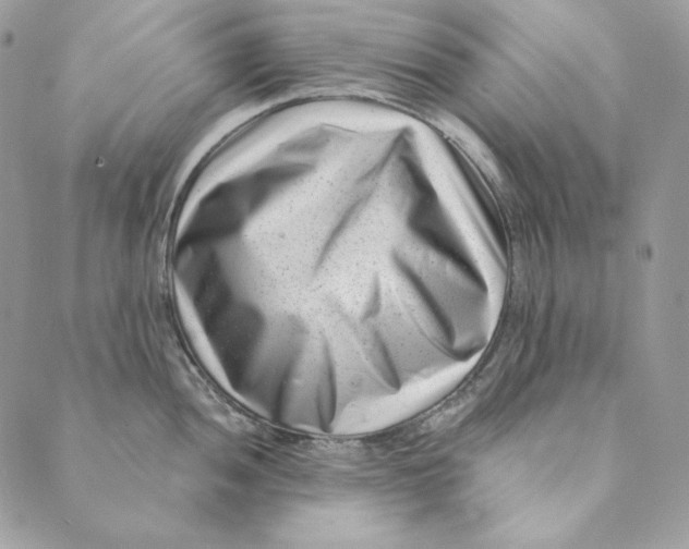 X0000088891052200706291435