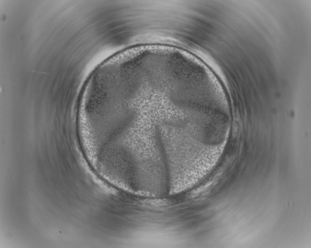 X0000088891053200706291435