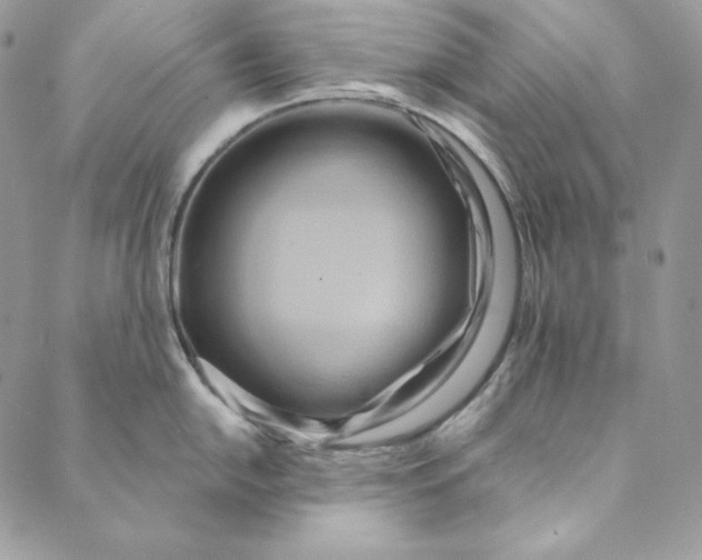 X0000088891054200706291435