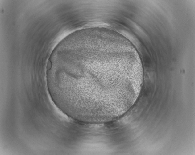 X0000088891055200706291435