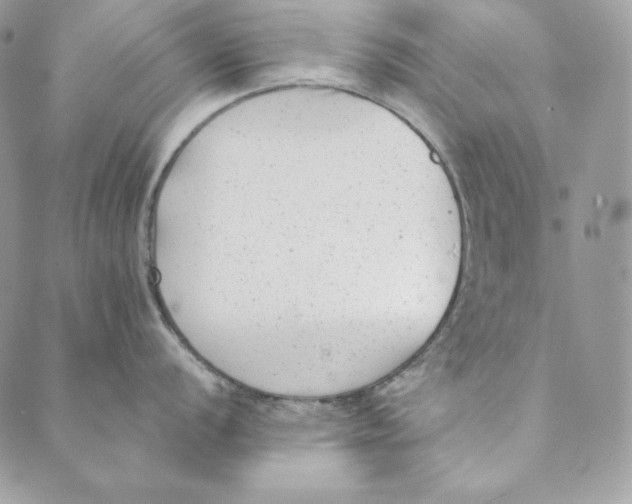 X0000088891056200706291435