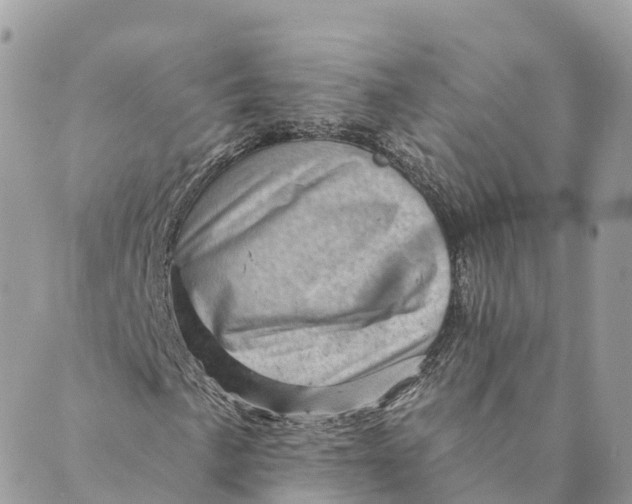 X0000088891057200706291434