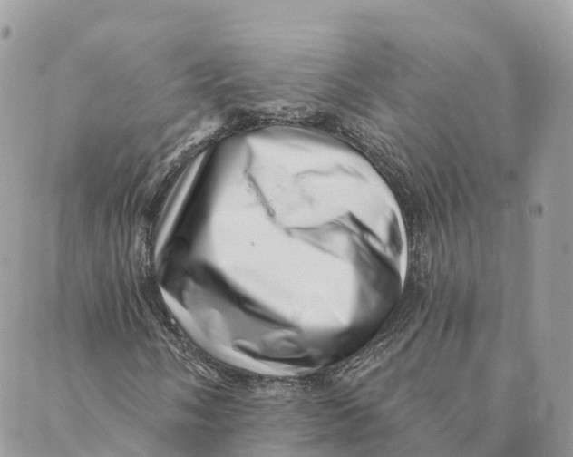 X0000088891058200706291434