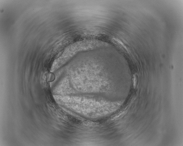 X0000088891059200706291434