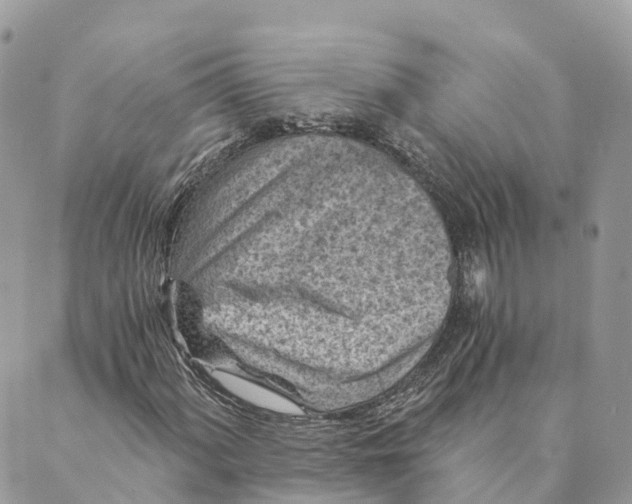 X0000088891060200706291434