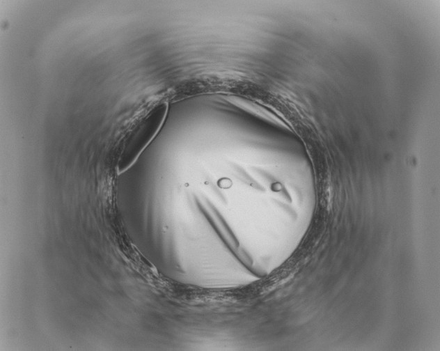 X0000088891061200706291434