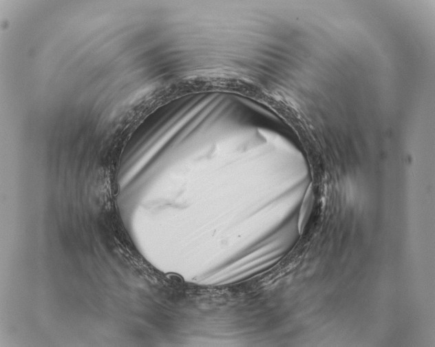 X0000088891062200706291434